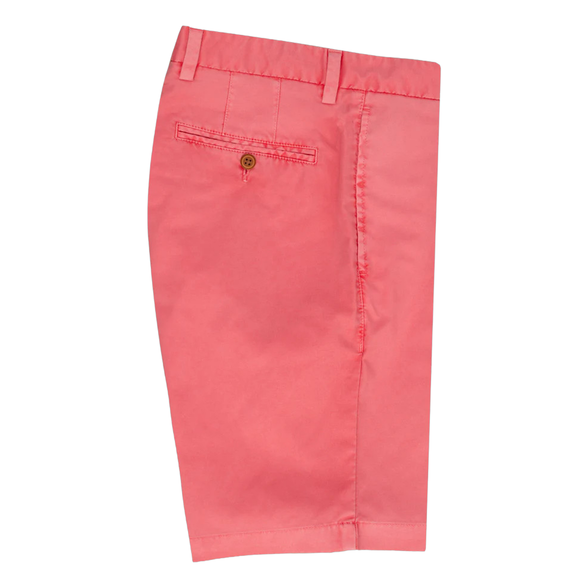 MS21P02.Coral