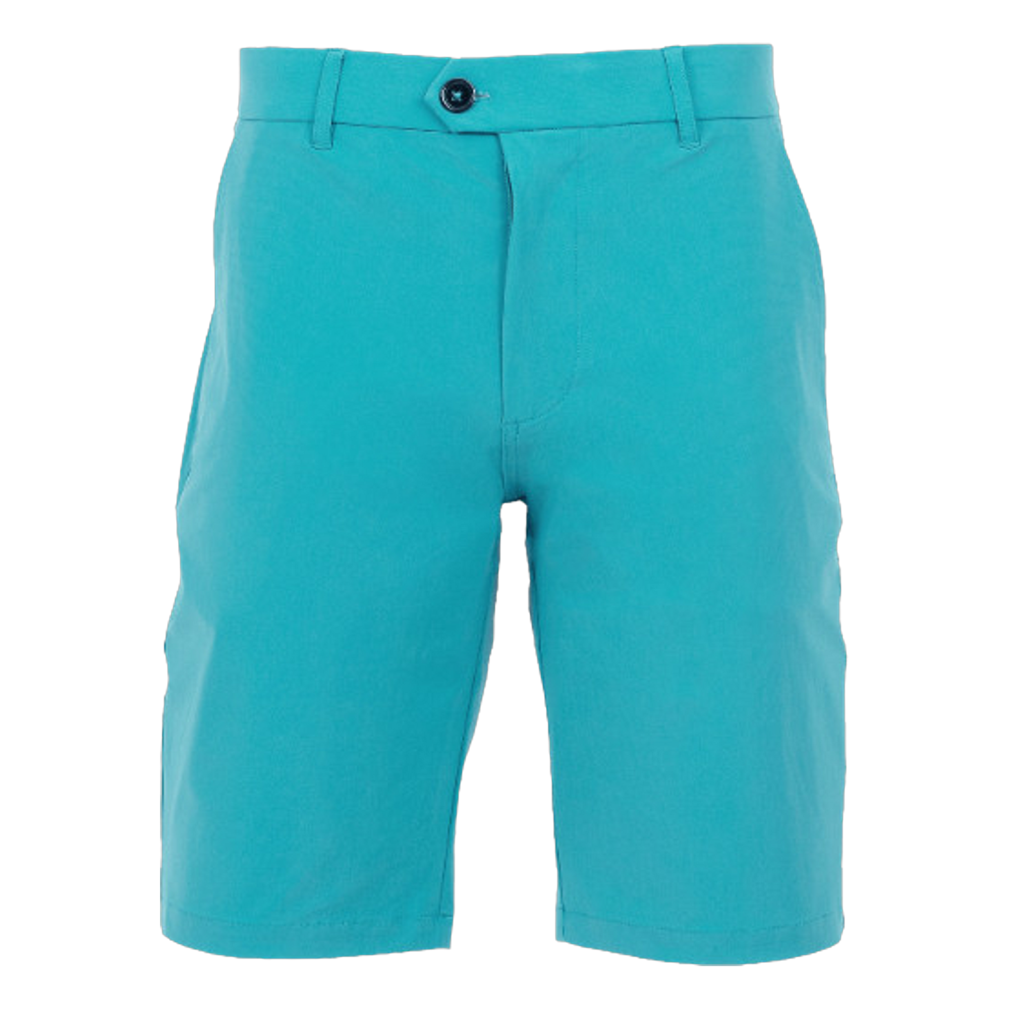 MSP25B20.Macaw